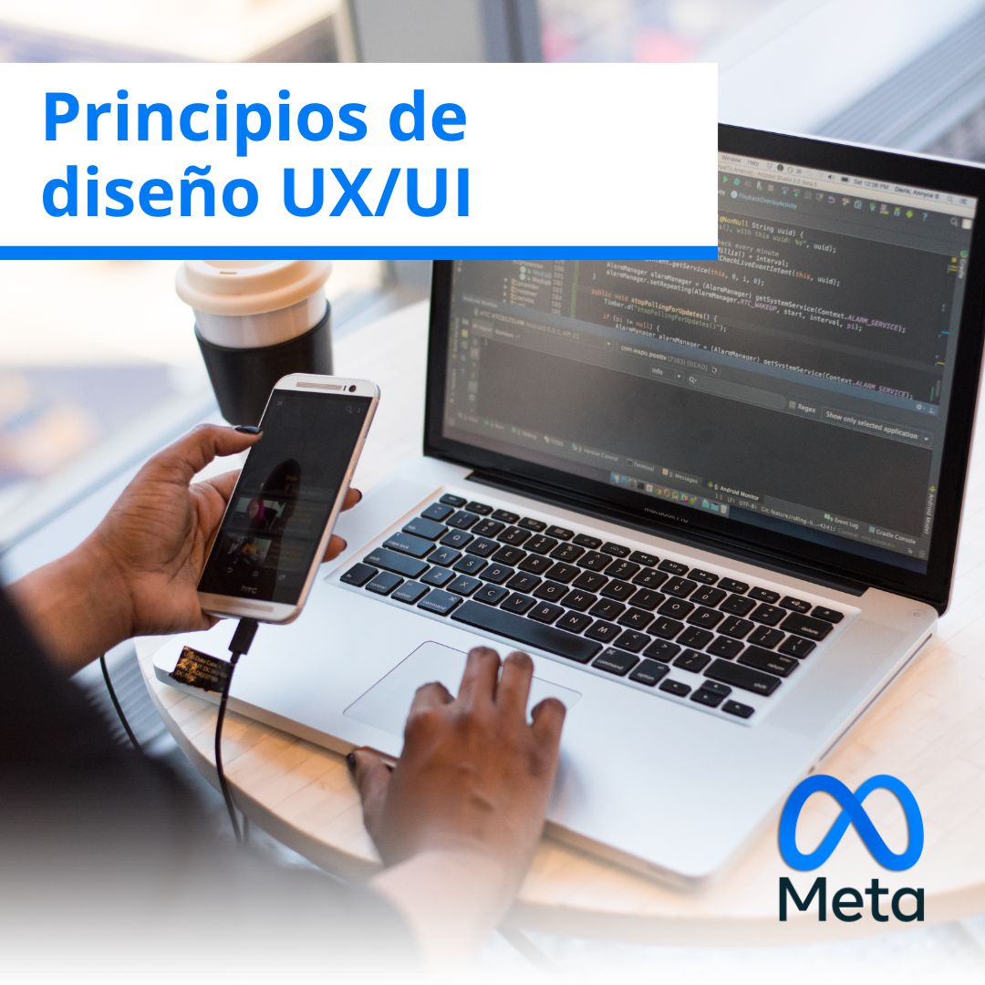 Principios de diseño UX/UI